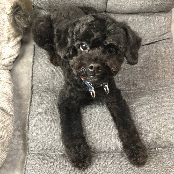 8b7fbe3a 7259 472b a3d5 ab68371dedd3 1595393888073