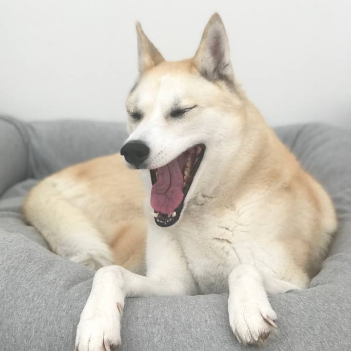 8b7fcea9 c173 46f3 bc98 bfafeaa6dd49 1548639904527