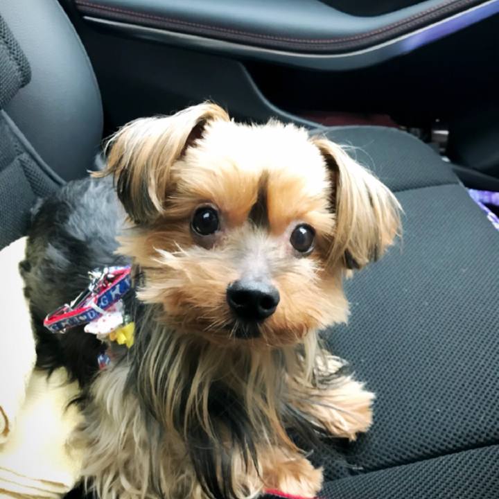 8b7ff253 b58d 4a67 a941 10f62852850e 1508396690987