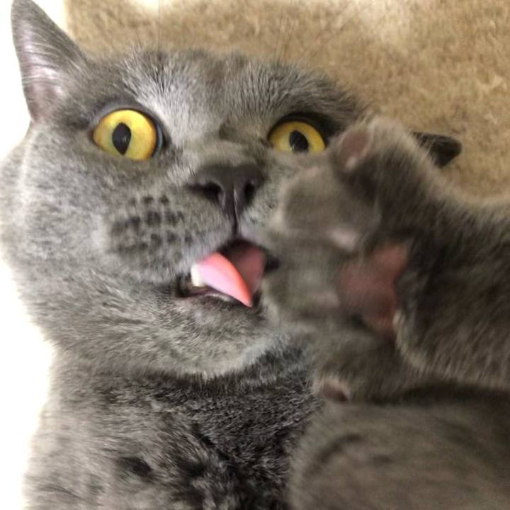 8b7ffcc0 a3fe 4d0d 9fd8 0da0a28d8e44 1660125221102