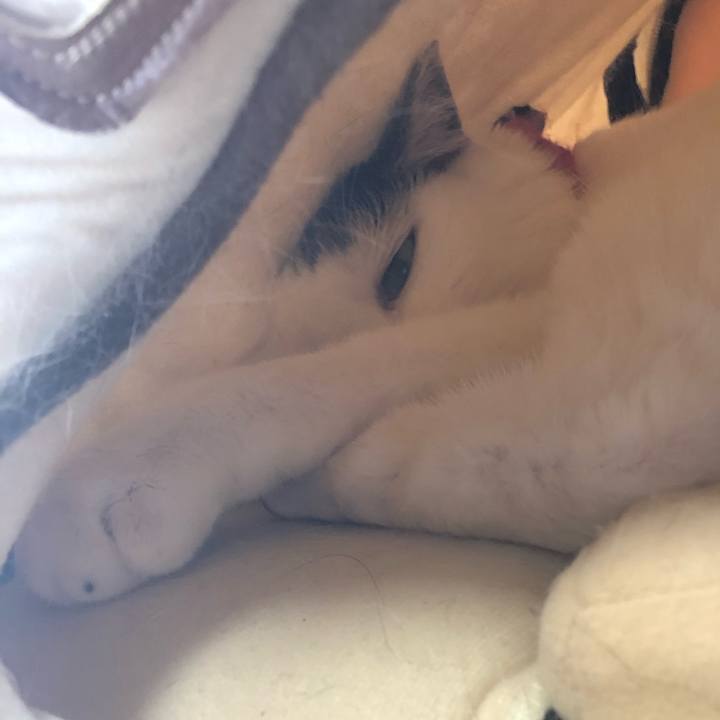 8b801c85 0b0d 4afe a962 8e42eeb53fde 1557184976717