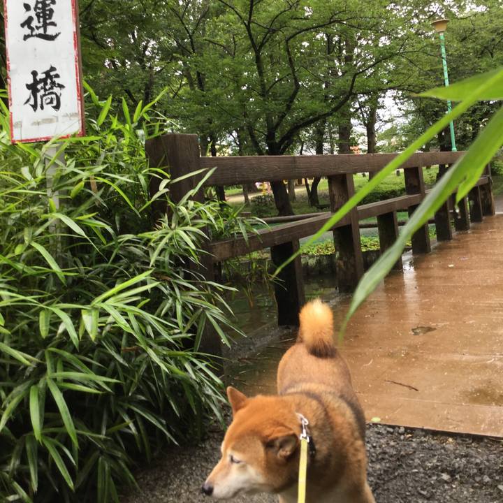 8b802a49 0f3f 400e 9fdc af98ec7e4238 1594192330572