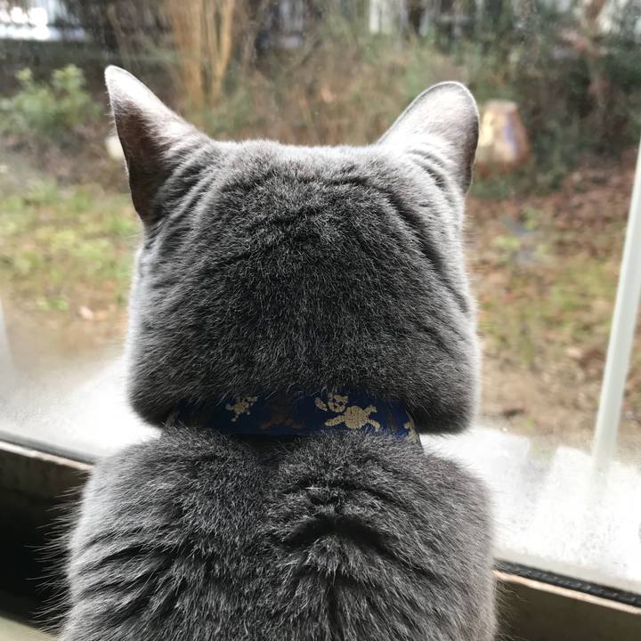 8b802ebb 3b9f 4979 8077 b699b2ddc797 1515892290902