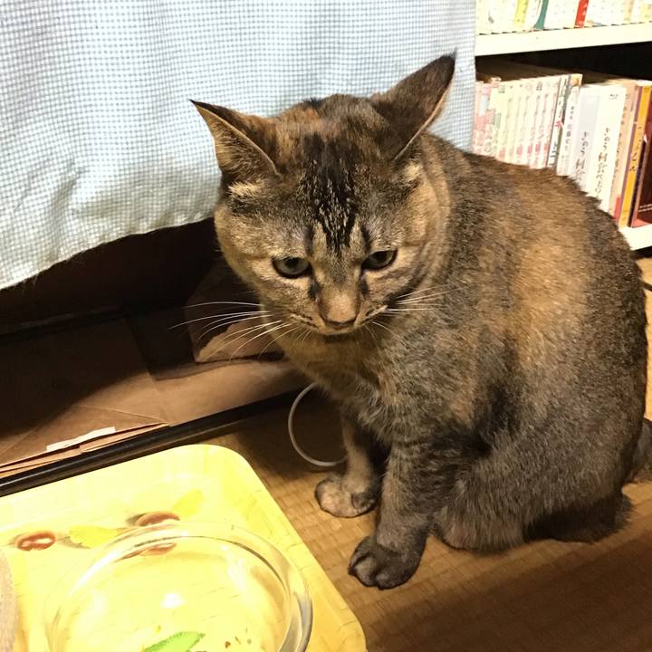 8b807efb 552f 40d5 95e4 01b43e218c78 1732006322787