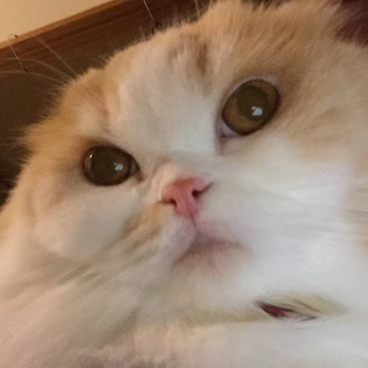 8b80c309 efef 4842 a3fc c8fa1fb1494b 1536831418086