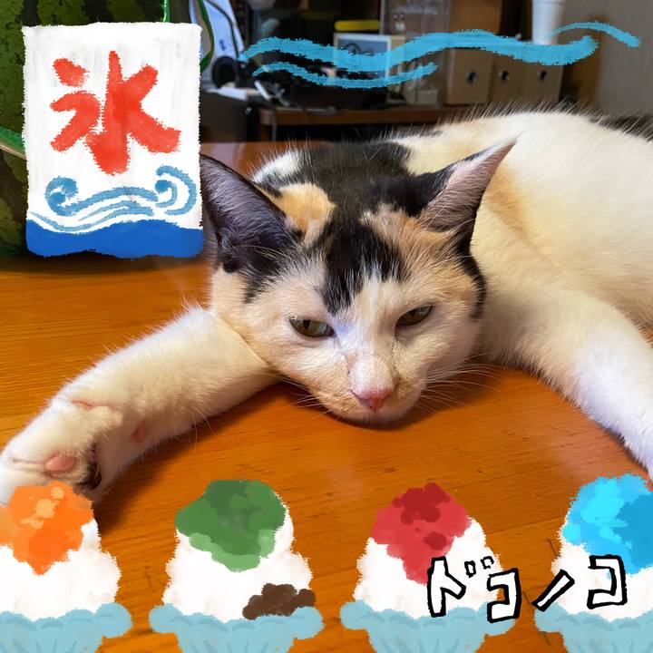 8b80d46f 3fcf 4e72 8844 de33c00572a8 1723183869856