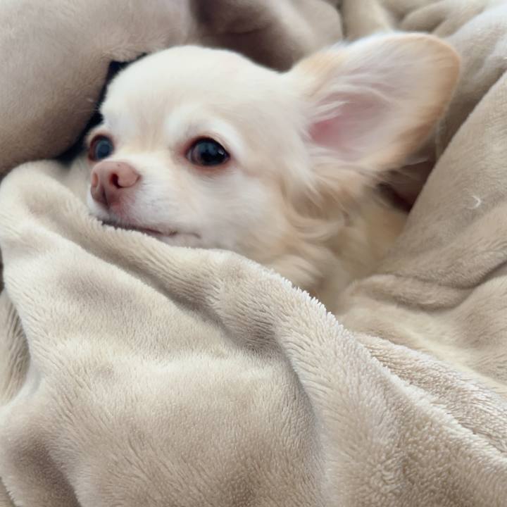 8b81037a 8dc0 4213 92da 21c46454a0e7 1727219437337