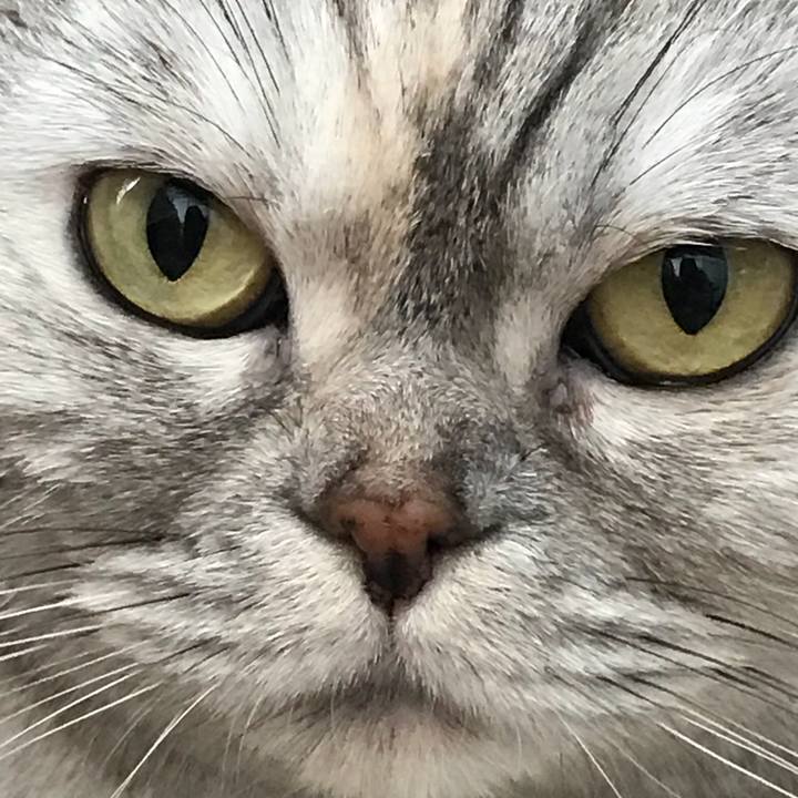 8b813d4b e1ca 4d1f b93c 17852fd5ef08 1513080318003