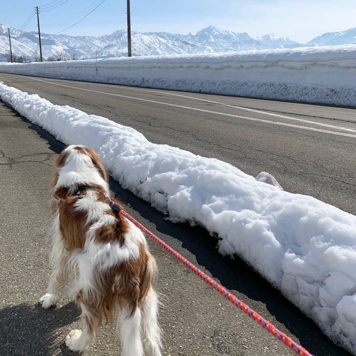 8b81726e 3a87 495f b759 f8e72c342733 1613097878161