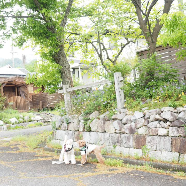 8b818030 8d59 41f9 a2c1 c6b33a1a4941 1589093351861