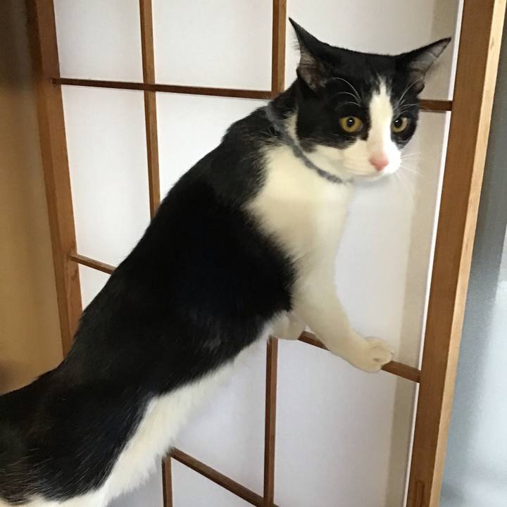 8b8181a8 18bb 4ac4 ba5b 75b0355cb270 1640816981864