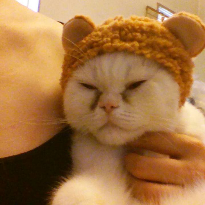 8b81a9ec 7959 44a6 9c52 8ac9b4a07a79 1532826629017