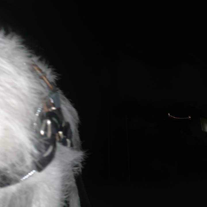 8b81b450 071b 496f a0ff 6328db8f75c0 1754227330147