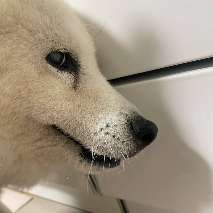 8b81d313 a3a8 48b0 b1a4 91bd1d7f777c 1764280897144