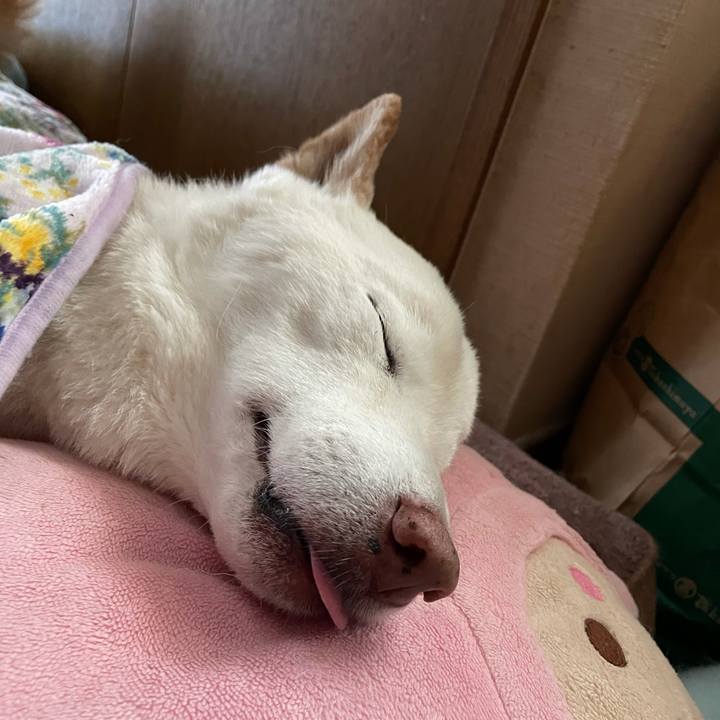 8b81d5ea 00e6 497d b137 52ec0dde2f03 1638157621001