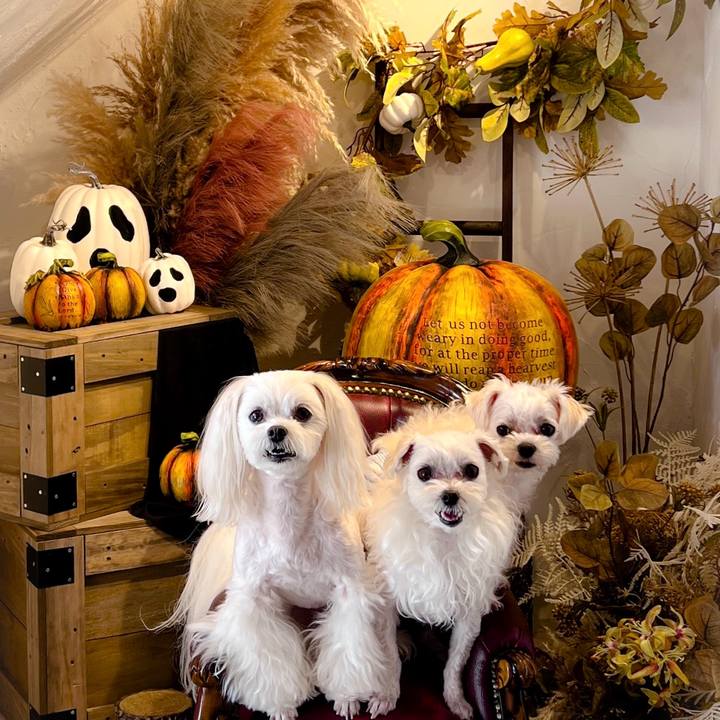 8b81e7eb afd3 4a7b 879c bddf12685919 1696914657601