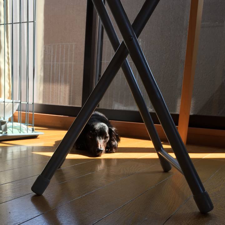 8b81f661 2896 4be4 b085 64a6df58fc98 1533681360254