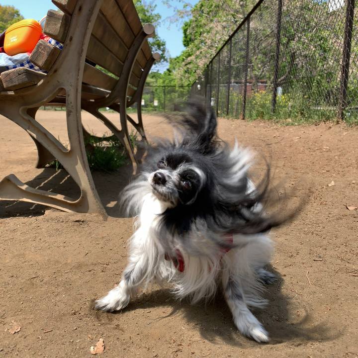 8b8224a2 3d57 44e2 8b8f 1c7d25423e65 1555936742944