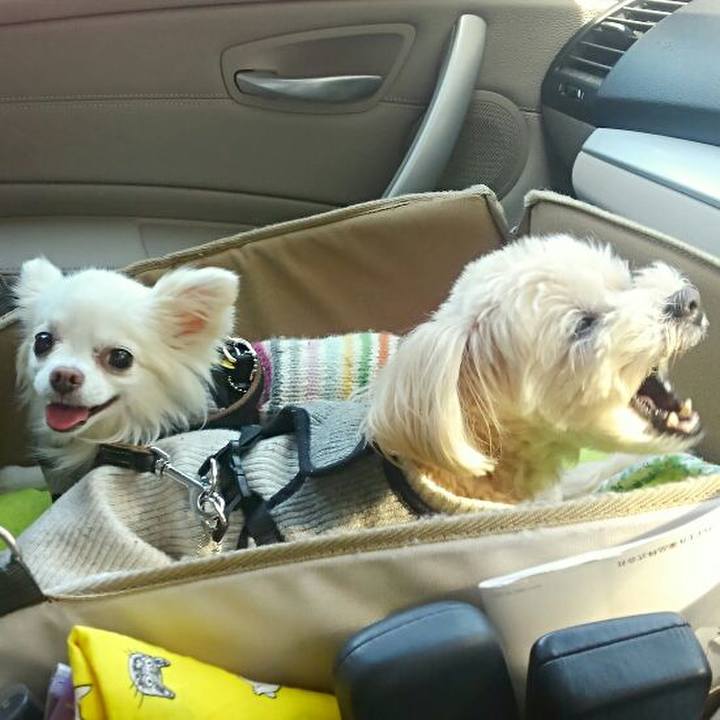 8b822f30 920b 4d2b aa9c 5df3975ded9d 1522126192380