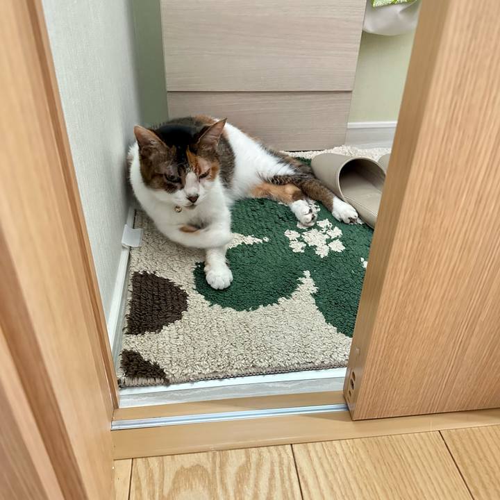 8b82368d 2233 47ea b43b b5932b73a785 1689131395965