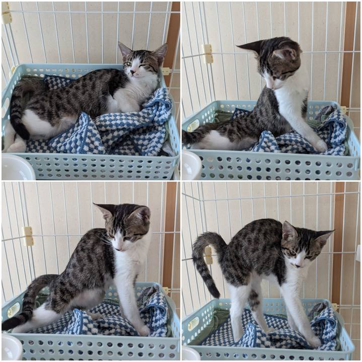 8b8240c9 bdd7 476e b39e 4ec9a7726819 1723439306956