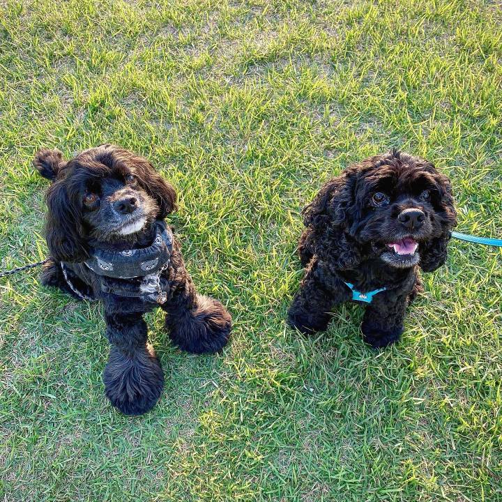 8b82c44f 6789 44e2 a3e2 a2c2d86a192e 1661918658148