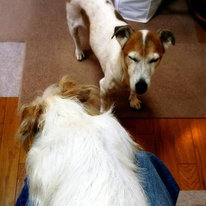 8b830475 0e49 4e67 986b 13f06699cc63 1517633545341