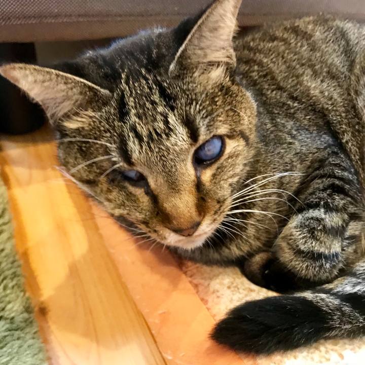 8b833f8d 1899 4783 bda1 7b11fce0a7a0 1541730287123