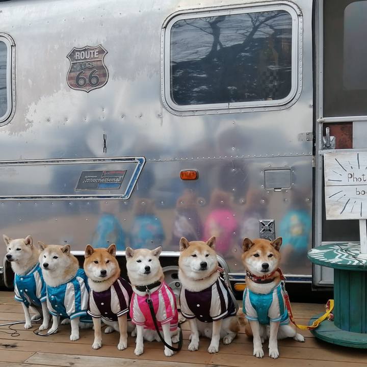 8b8372e7 3a34 45ba 85ee caf5ca378498 1673869723563