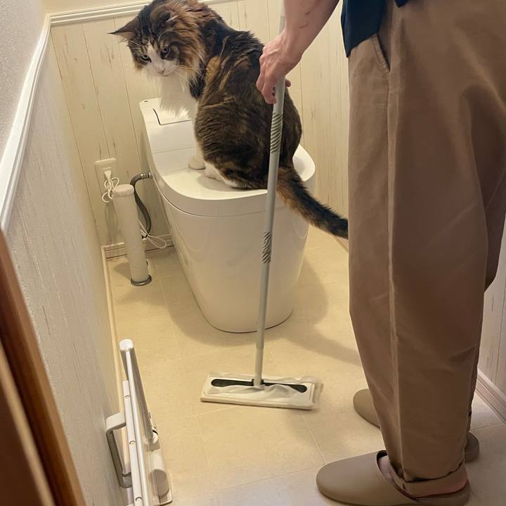 8b83afbe 52ec 440f bd8b 3cd24d129745 1756244000868