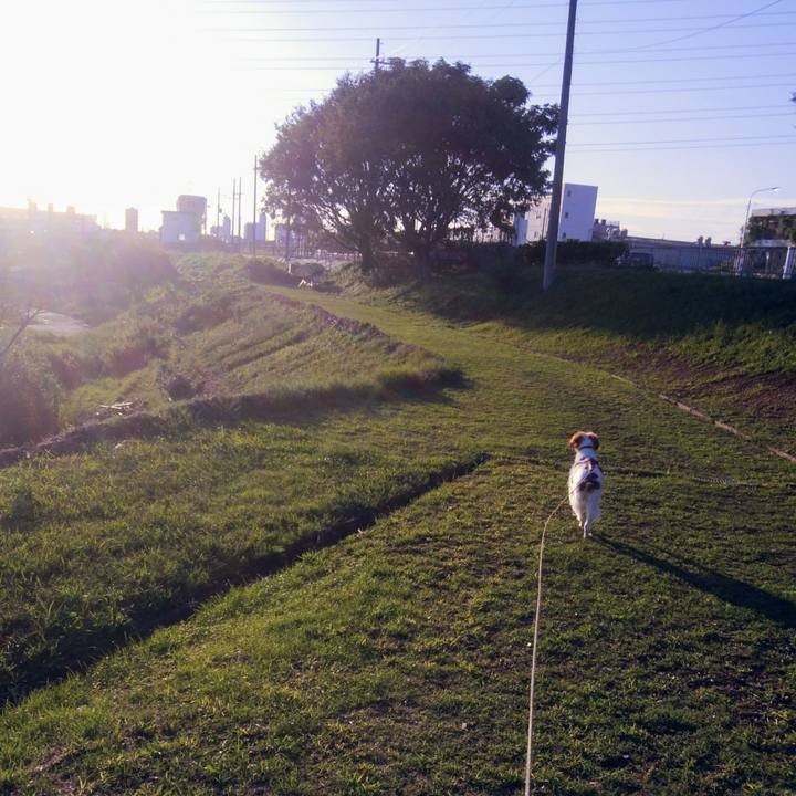 8b83b415 da08 4a7a af0b 99fd3a524b8e 1538134833427