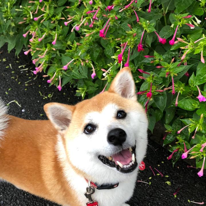 8b83fb8e 25a3 4668 af17 faee627d901e 1563834278433