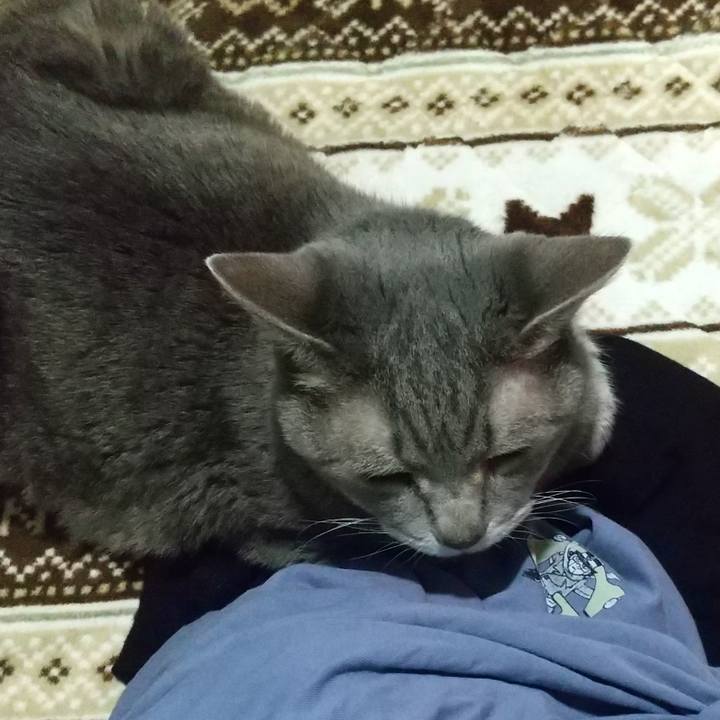 8b840a02 4bf8 428f a3f0 ea9462309fd0 1668770295998