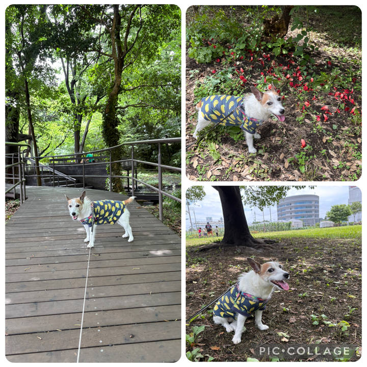 8b841f99 9402 4e7e a7b9 3874399fab05 1750115231456