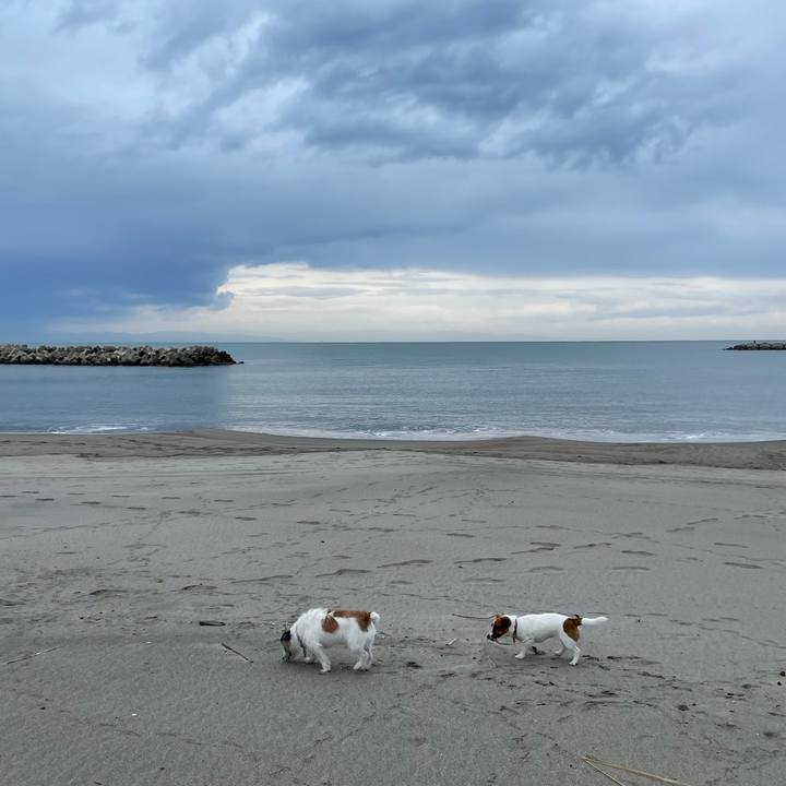 8b84452d 16fc 4410 9888 f8dabe534937 1637194311668