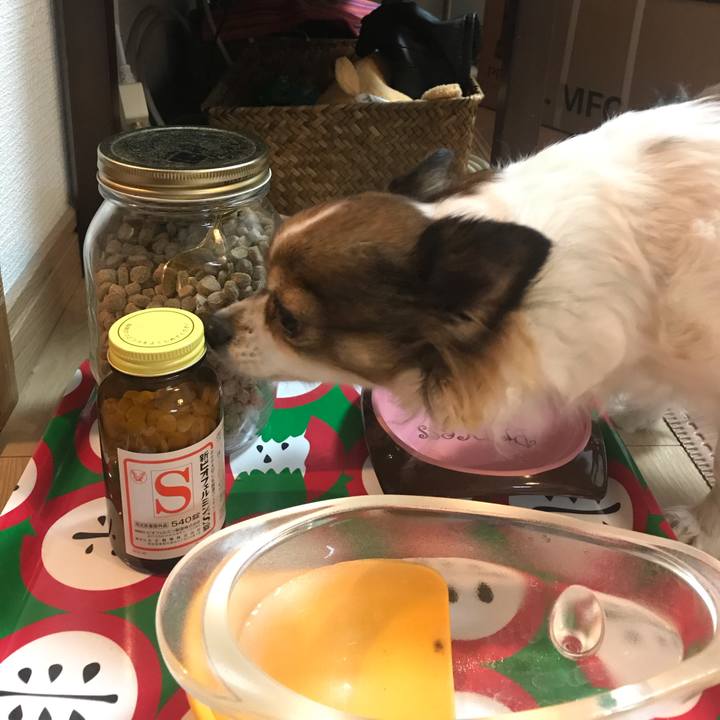 8b84457d e772 4192 9f82 144f9688bf76 1547461715850