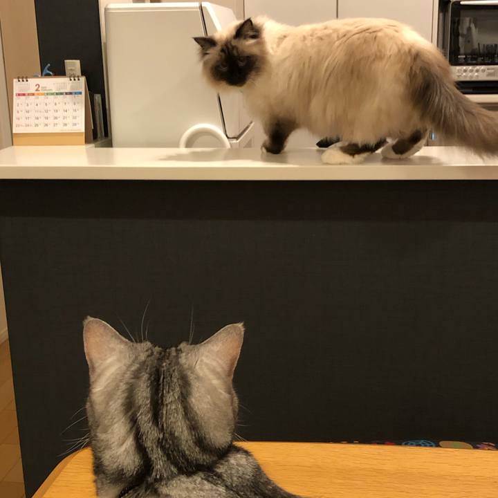 8b846e55 6139 4a16 9e7b 151c8267e20e 1582974914903