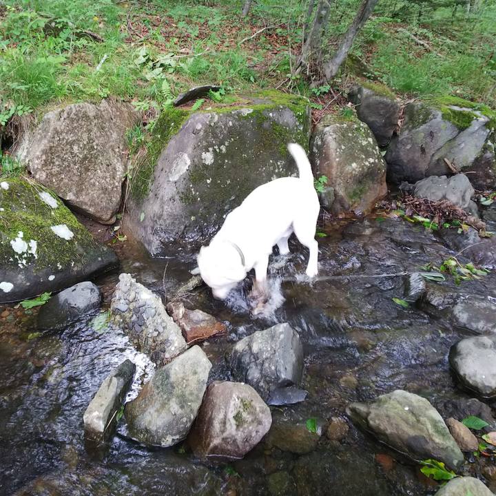 8b8487e0 6cc7 418d adfe c4513d1fa609 1566033288736