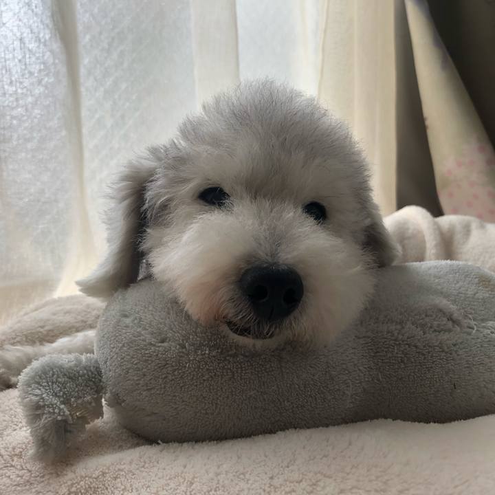 8b849b24 f500 471c becb 54bdf0454ede 1662083057635