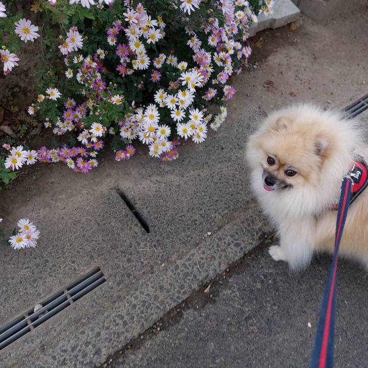 8b84cbdc e2fe 4af6 ba6e 210fc17e507c 1699839825687