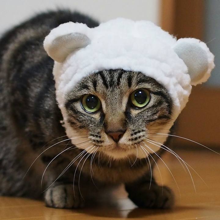 8b84d781 191d 4105 91a5 1c2dbfb7ca63 1527683849421