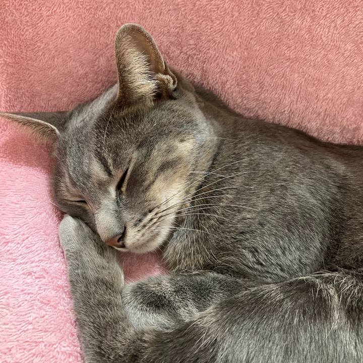 8b84e251 90e6 4ee2 9108 39ac992e4fbe 1608646470393