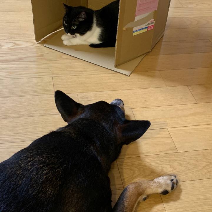 8b850a01 2d0e 4c96 929d 4e96e49dec00 1568212288945