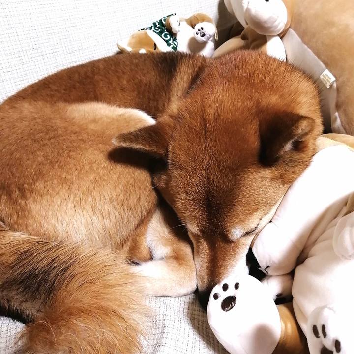 8b8549db 7ec2 4409 9e8f bfe2170077eb 1582375936310