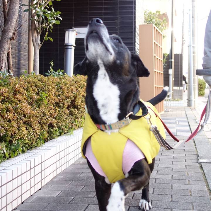 8b855ffa b166 439b 9b65 f8e0567a287f 1739839366920