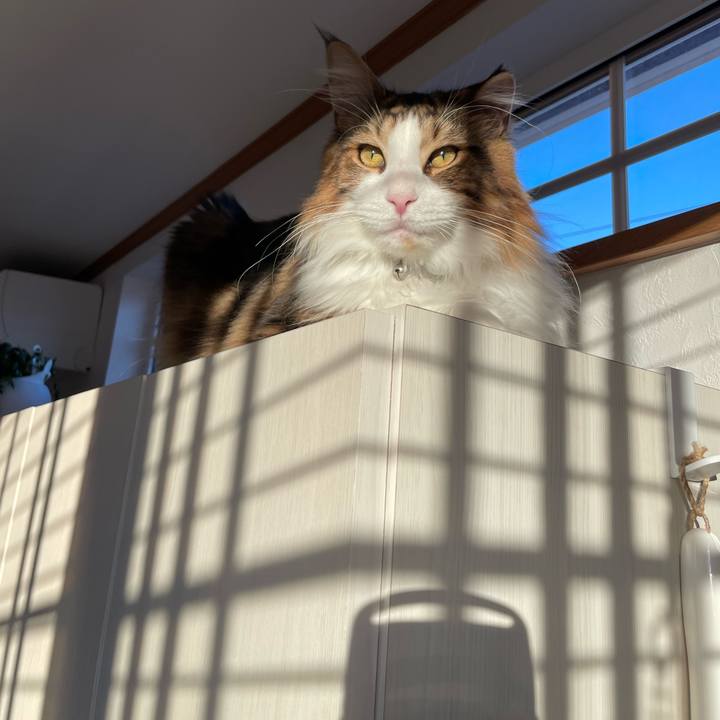 8b85ba02 8f9b 415a a545 46252f3a3018 1652087741270