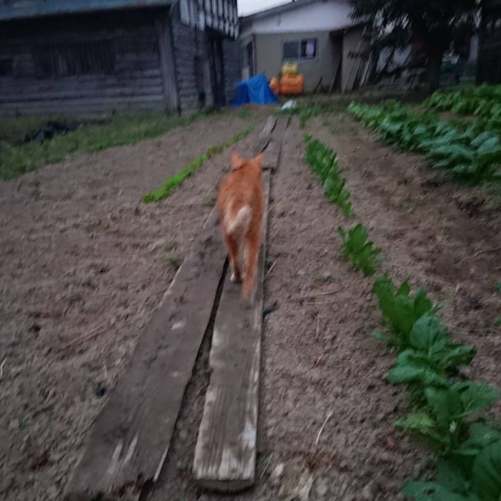 8b85f467 43a0 40be ade7 6f85d84789b7 1570093403399