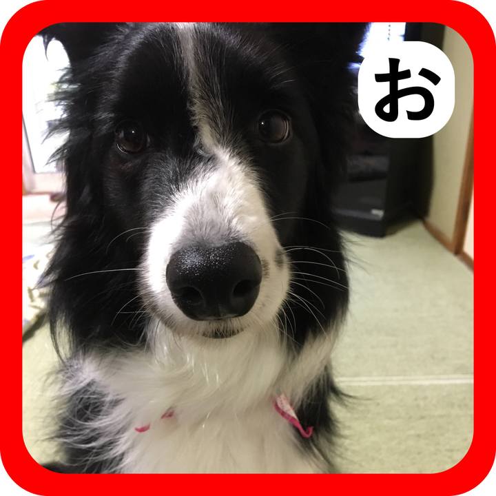 8b85fa3e 0338 44da a335 c1bc2fc4b505 1514790522657