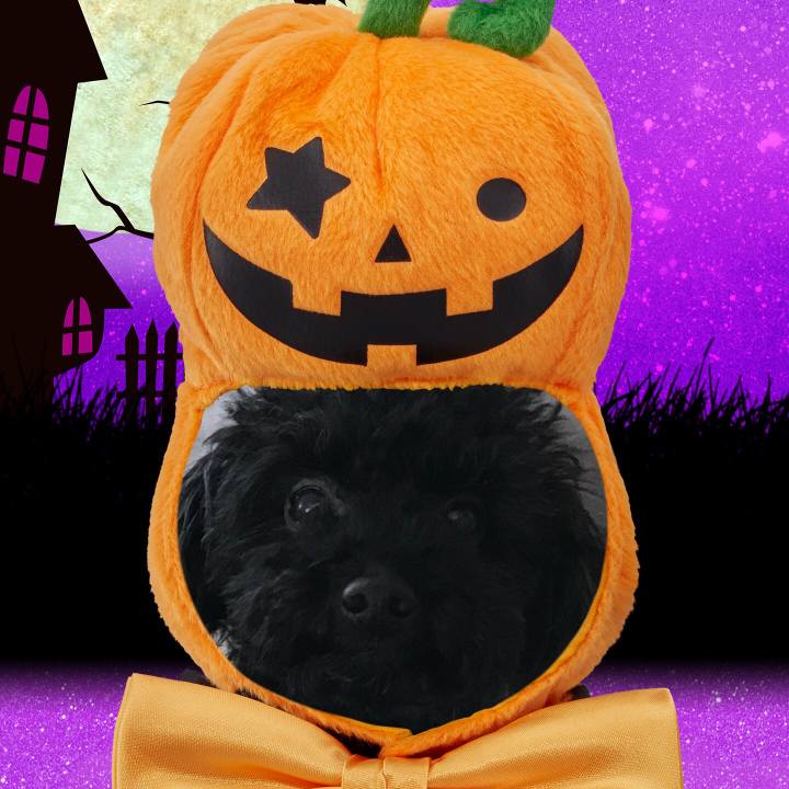 8b860cf5 5251 4cd4 b984 36de0e34de02 1509190036661