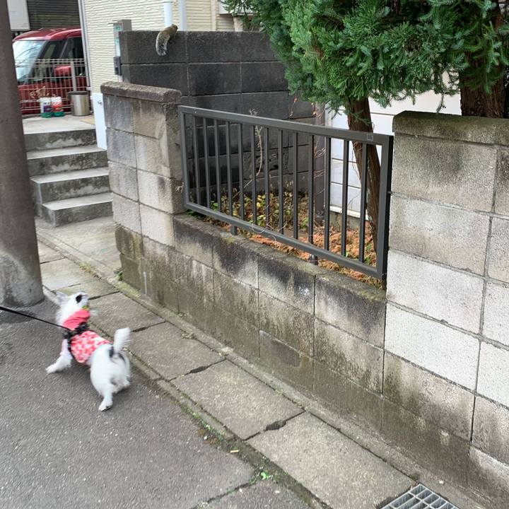 8b861154 b1bf 4b38 9b83 b97730f697d6 1676164413734